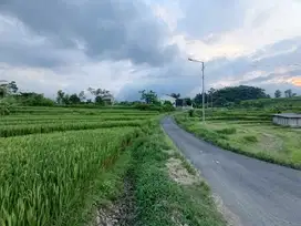 TANAH PACET MOJOKERTO VIEW CANTIK