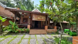 HOMESTAY NYAMAN LINGKUNGAN ASRI