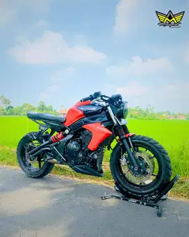 Kawasaki ER6 ER6N ER6F 650 modif ganteng