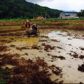 Lahan kavling cigudeg, jasinga bogor. pinggir jalan raya