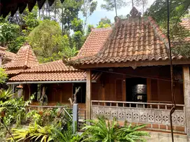 Villa Authentic Heritage, Roemah Kayoe Sentul