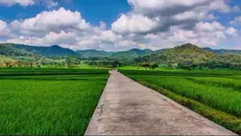 Villa Hadap Sawah dan Bukit Menoreh