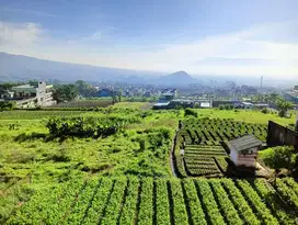 Villa di Batu Malang dekat Paolo Cafe