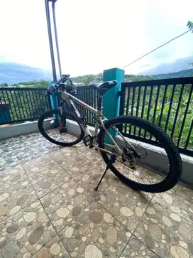 Sepeda MTB Polygon Casecade 3