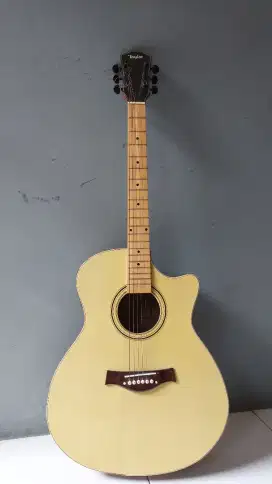 GITAR AKUSTIK/ELEKTRIK Custom  Terawat masih mulus