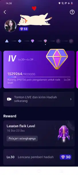 JUAL AKUN TIKTOK LEVEL 33