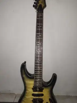 Gitar Ibanez Jiva10