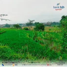 LELANG (Sawah) RUMAH ASETKU – TAROGONG KABUPATEN GARUT