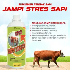 Suplemen Penggemuk Ternak Sapi Jampi Stres Sapi 1 Liter