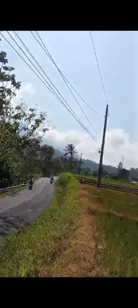 TANAH SAWAH TEPI JALAN RAYA LIMBANGAN SUMOWONO