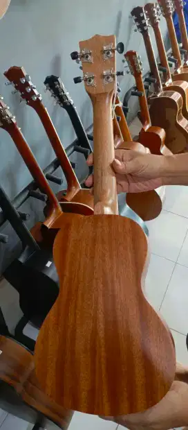 Ukulele /gitar imut