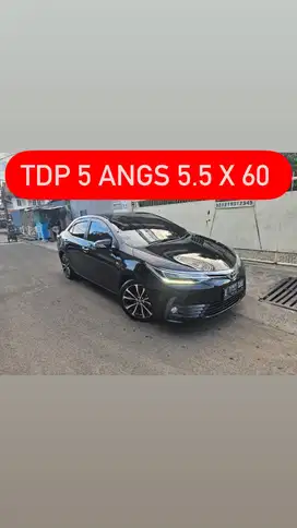 TDP 5-ALTIS V 2018