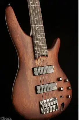 Bas ibanez sr 505