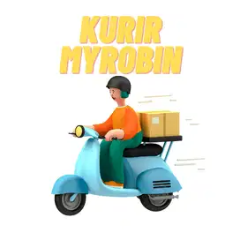 Kurir Paket Mojokerto