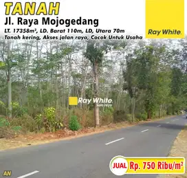 Dijual Tanah Mojogedang Karanganyar, cocok untuk usaha, akses lebar