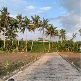 Tanah Kavling Di Tabanan Lokasi Utara Yeh Gangga