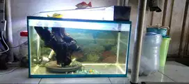 Aquarium Ikan Murah