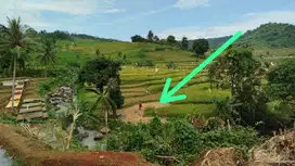 D jual sawah luas 1500 m2 Bisa di ambil /500 m2 Harga 500 rb /m2 BU