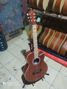 Gitar akustik murah untuk pemula