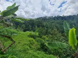 Tanah pekarangan istimewa di tawangmangu