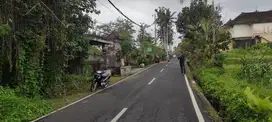 tanah cantik pinggir jalan raya ubud bali