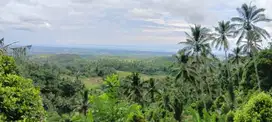 Tanah Kebun dengan view super bagus