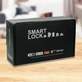 Smart door lock