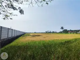 Tanah Luas Cocok Untuk Lahan Komersial di Cianjur