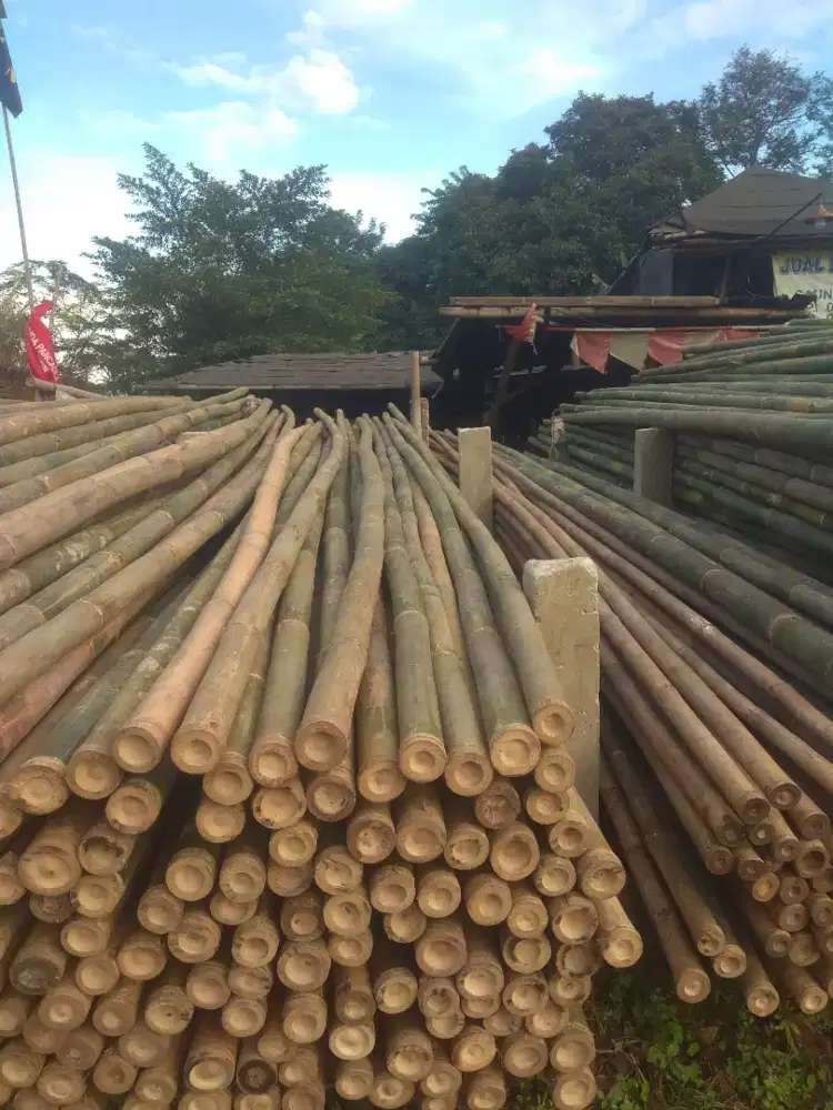 Bambu untuk steger dan lain lain