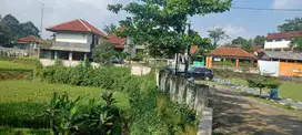 Sawah subur dekat Vila dan kantor Desa  Ciburayut Cigombong Bogor