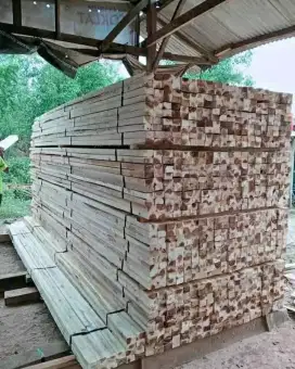 Kayu kaso ikatan super 5/7x4m