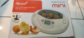 Inkubator rcom pro mini ez scoope mesin tetas telur falk afgrey conure