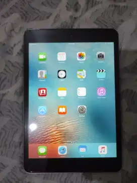 iPad mini 1 ex iBox