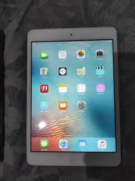 iPad mini 1 ex Ibox