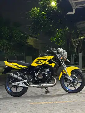 Ninja R up Ss dinego aja