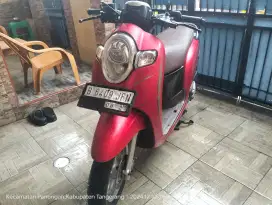 Honda Scoopy donat