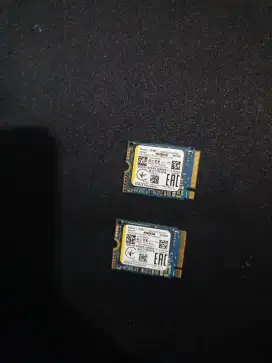 Ssd nvme minimalis kioxia 256gb