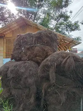 Ijuk kasar dari pohon Aren