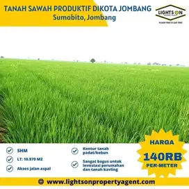 TANAH SAWAH PRODUKTIF DIKOTA JOMBANG