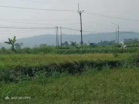 Tanah Pinggir Jalan Cinangneng Tenjolaya Kabupaten Bogor