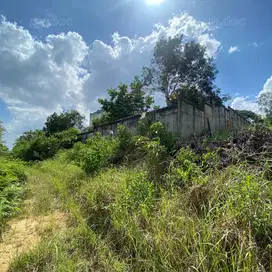 Tanah Dikawasan Industri Kariangau Balikpapan