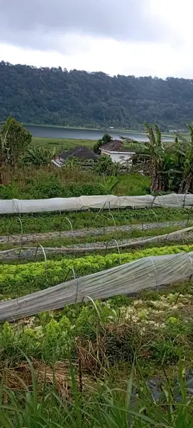 BUTUH UANG SECEPATNYA TANAH VIEW PANORAMA SANGAT INDAH