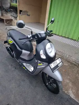 Honda Scoopy 2023 like new