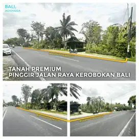 TANAH PREMIUM PINGGIR JALAN RAYA KEROBOKAN BALI