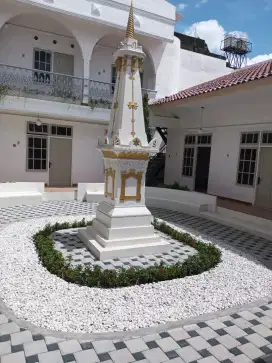 Koral Putih Kupang