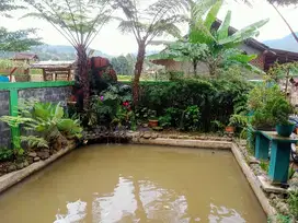 VILLA KOLAM IKAN MINI BUAT ISTIRAHAT KUMPUL KELUARGA