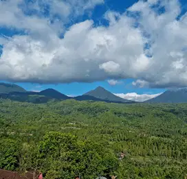 Dijual Tanah 1,6 H View  AirTerjun,Hutan&Gunung Munduk Buleleng