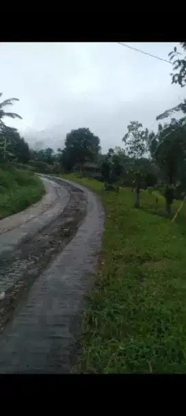 Tanah Tugujaya Cigombong luas 12000 meter