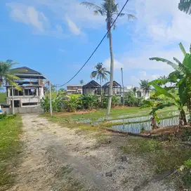 DIJUAL TANAH PANTAI NYANYI ZONA KUNING