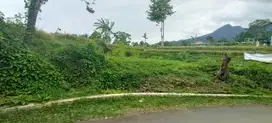 Dijual Murah Tanah Darat dan Sawah Air Mengalir Serangpanjang Subang